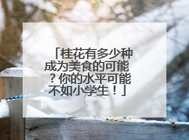 桂花有多少种成为美食的可能？你的水平可能不如小学生！