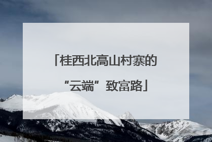 桂西北高山村寨的“云端”致富路
