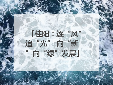 桂阳：逐“风”追“光” 向“新”向“绿”发展