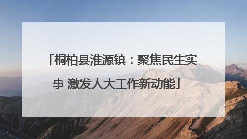 桐柏县淮源镇：聚焦民生实事 激发人大工作新动能