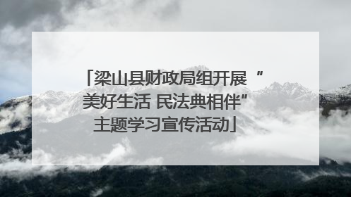 梁山县财政局组开展“美好生活 民法典相伴”主题学习宣传活动