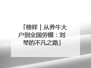 榜样｜从养牛大户到全国劳模：刘琴的不凡之路