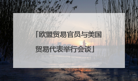 欧盟贸易官员与美国贸易代表举行会谈