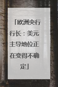 欧洲央行行长：美元主导地位正在变得不确定