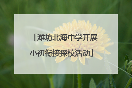 潍坊北海中学开展小初衔接探校活动