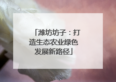 潍坊坊子：打造生态农业绿色发展新路径