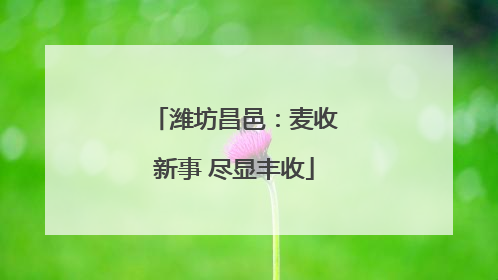 潍坊昌邑：麦收新事 尽显丰收