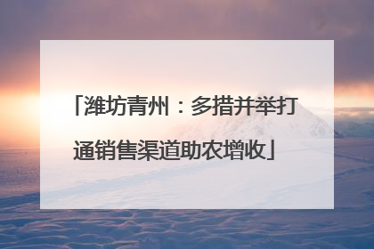 潍坊青州：多措并举打通销售渠道助农增收