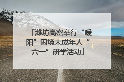 潍坊高密举行“暖阳”困境未成年人“六一”研学活动