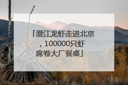 潜江龙虾走进北京，100000只虾席卷大厂餐桌