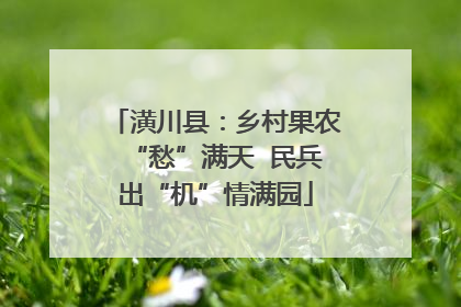 潢川县：乡村果农“愁”满天  民兵出“机”情满园