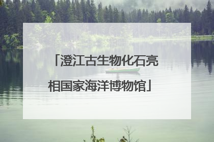 澄江古生物化石亮相国家海洋博物馆