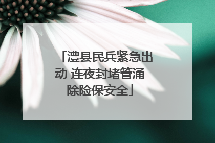 澧县民兵紧急出动 连夜封堵管涌除险保安全