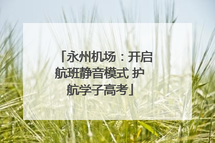 永州机场：开启航班静音模式 护航学子高考