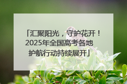 汇聚阳光，守护花开！2025年全国高考各地护航行动持续展开
