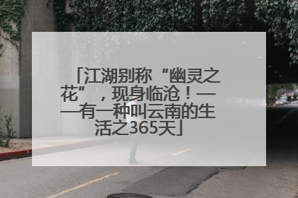 江湖别称“幽灵之花”，现身临沧！——有一种叫云南的生活之365天