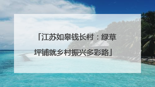 江苏如皋钱长村：绿草坪铺就乡村振兴多彩路