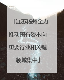 江苏扬州全力推动国有资本向重要行业和关键领域集中