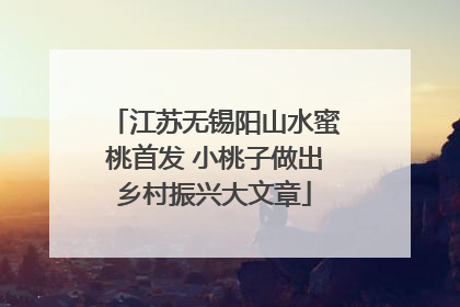 江苏无锡阳山水蜜桃首发 小桃子做出乡村振兴大文章