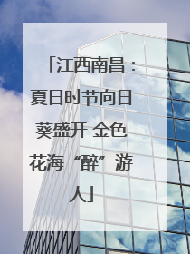 江西南昌：夏日时节向日葵盛开 金色花海“醉”游人