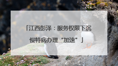 江西彭泽：服务权限下沉 慢特病办理“加速”