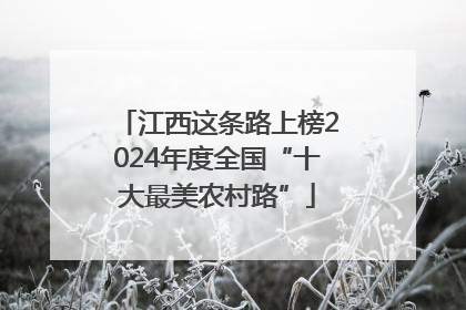 江西这条路上榜2024年度全国“十大最美农村路”