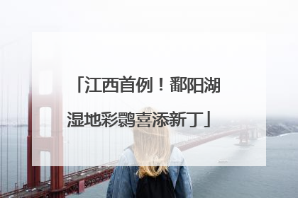 江西首例！鄱阳湖湿地彩鹮喜添新丁