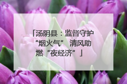 汤阴县：监督守护“烟火气” 清风助燃“夜经济”