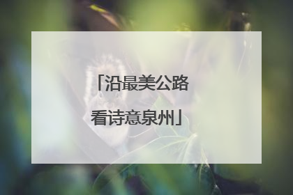 沿最美公路 看诗意泉州