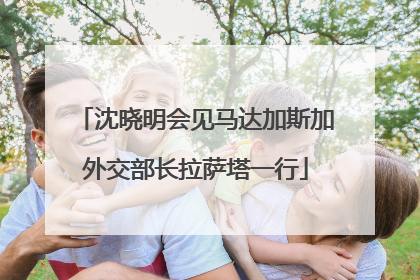 沈晓明会见马达加斯加外交部长拉萨塔一行