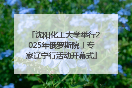 沈阳化工大学举行2025年俄罗斯院士专家辽宁行活动开幕式