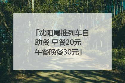 沈阳局推列车自助餐 早餐20元午餐晚餐30元