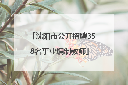 沈阳市公开招聘358名事业编制教师