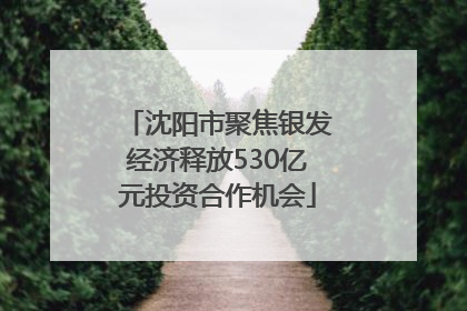 沈阳市聚焦银发经济释放530亿元投资合作机会