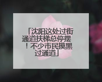 沈阳这处过街通道扶梯总停摆！不少市民摸黑过通道