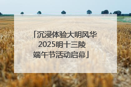 沉浸体验大明风华 2025明十三陵端午节活动启幕