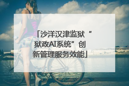 沙洋汉津监狱“狱政AI系统”创新管理服务效能
