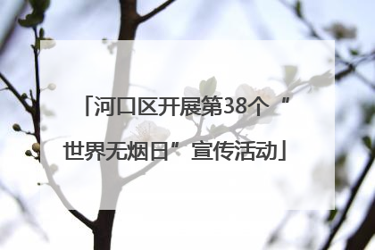 河口区开展第38个“世界无烟日”宣传活动