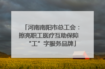 河南南阳市总工会：擦亮职工医疗互助保障“工”字服务品牌