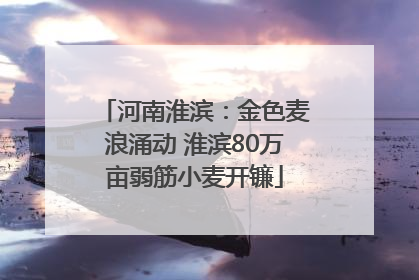 河南淮滨：金色麦浪涌动 淮滨80万亩弱筋小麦开镰