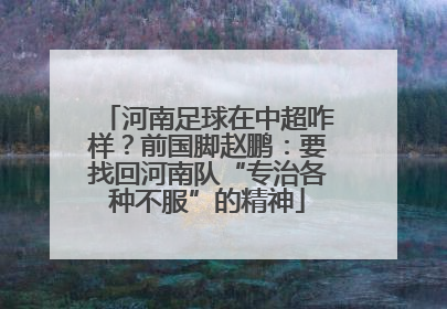 河南足球在中超咋样？前国脚赵鹏：要找回河南队“专治各种不服”的精神