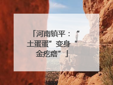 河南镇平：“土蛋蛋”变身“金疙瘩”