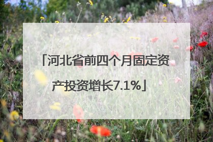 河北省前四个月固定资产投资增长7.1%