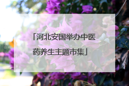 河北安国举办中医药养生主题市集