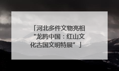 河北多件文物亮相“龙腾中国：红山文化古国文明特展”