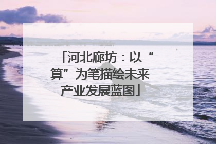 河北廊坊：以“算”为笔描绘未来产业发展蓝图