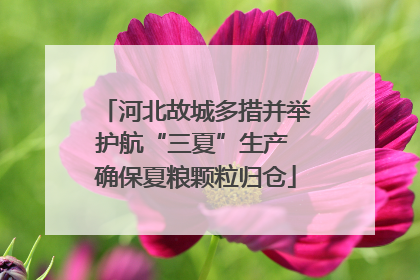 河北故城多措并举护航“三夏”生产 确保夏粮颗粒归仓