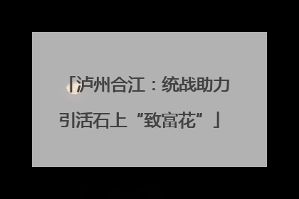泸州合江：统战助力引活石上“致富花”