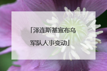 泽连斯基宣布乌军队人事变动