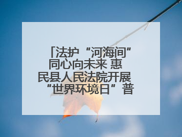 法护“河海间” 同心向未来 惠民县人民法院开展“世界环境日”普法宣传活动